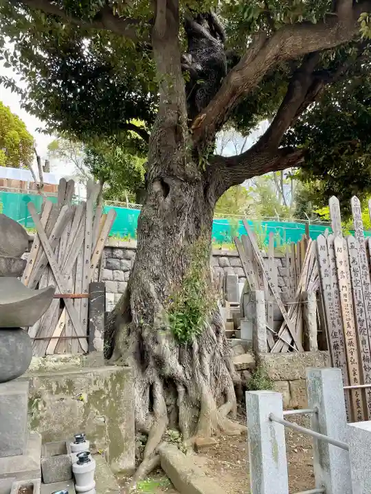 青雲寺(東京都)