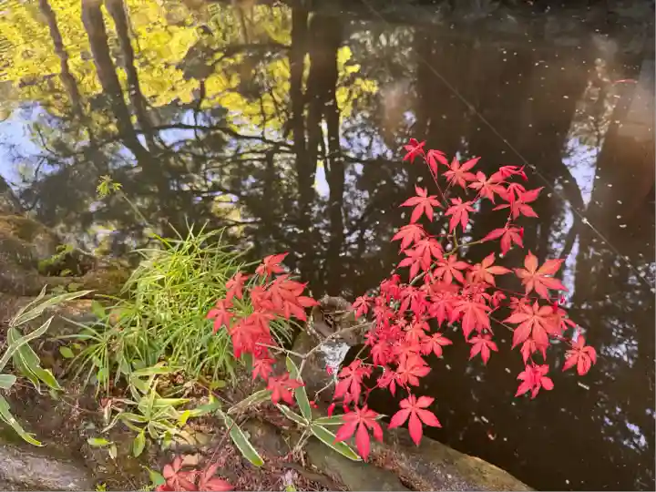 玉桂寺(滋賀県)