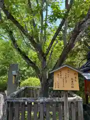 長谷寺(奈良県)