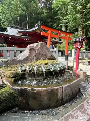 九頭龍神社新宮(神奈川県)
