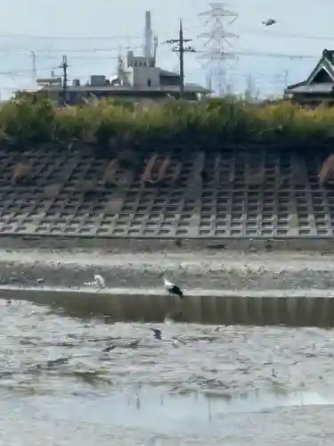 天神社（長尾天満宮）(兵庫県)