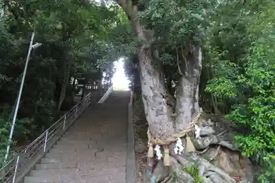 新宮神社の景色