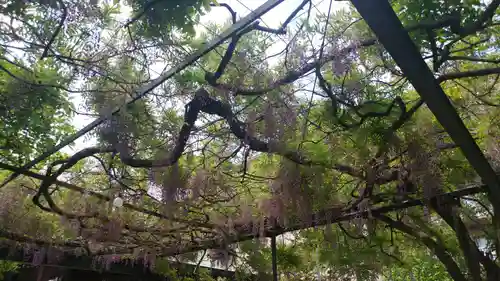 國領神社の庭園