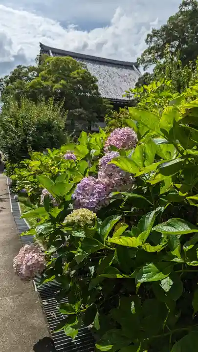 智積院(京都府)