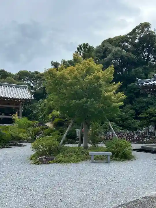 大日寺(高知県)