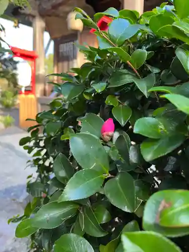 大鏑神社(福島県)