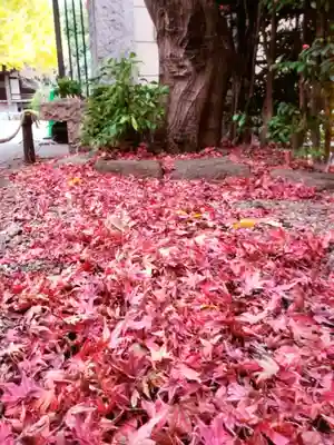 高円寺(東京都)