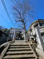 紀伊神社(神奈川県)