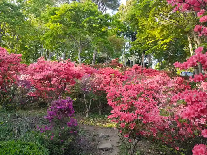 本輪西八幡神社(北海道)