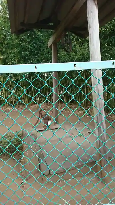 真名井大師堂のその他建物