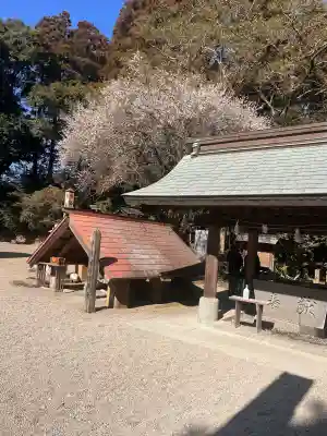 都萬神社の{uncategorized: "未分類", other: "その他", undefined: "問題あり", building: "その他建物", grave: "お墓", sacred_gate: "鳥居", guardian: "狛犬", statue: "像", buddha: "仏像", history: "歴史", nature: "自然", garden: "庭園", animal: "動物", pagoda: "塔", temizu: "手水舎", mountain_gate: "山門・神門", sanctuary: "本殿・本堂", subordinate: "末社・摂社", art: "芸術", scenery: "景色", jizo: "地蔵", ema: "絵馬", goshuin: "御朱印", omikuji: "おみくじ", items: "授与品その他", amulet: "お守り", goshuincho: "御朱印帳", eats: "食事", festival: "お祭り", votive_dance: "神楽", shichigosan: "七五三参", wedding: "結婚式", experience: "体験その他", initially: "初詣", around: "周辺", anti_infection: "感染症対策"}