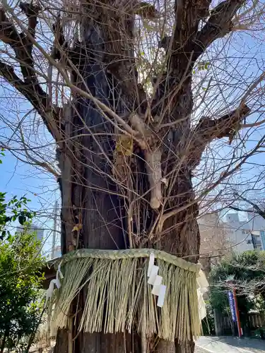 筑土八幡神社(東京都)