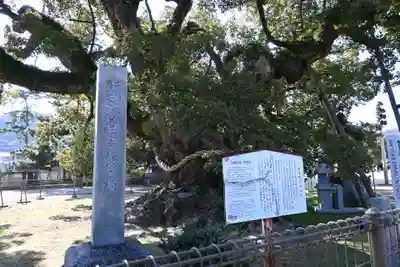 善通寺(香川県)