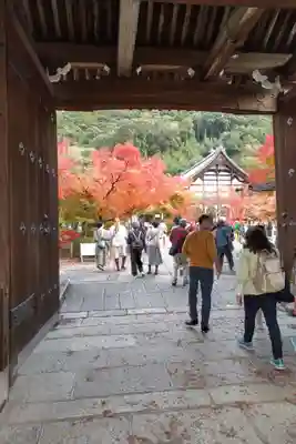 禅林寺(永観堂)(京都府)