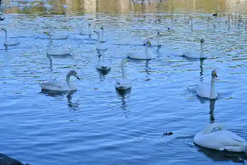 西光寺(新潟県)