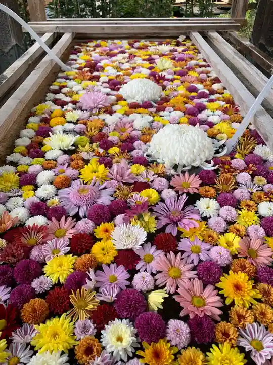 笠間稲荷神社の手水舎