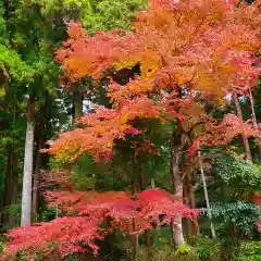 財賀寺の自然