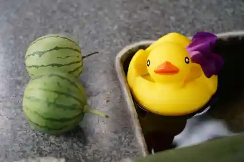 高司神社〜むすびの神の鎮まる社〜の手水舎