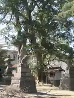 香取神社(埼玉県)