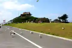 蕪嶋神社の動物