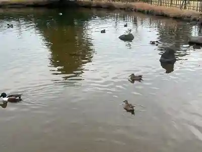 東本願寺本廟 牛久浄苑(牛久大仏)(茨城県)