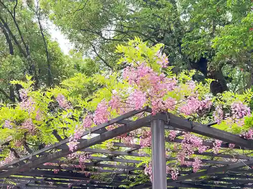 葛井寺(大阪府)