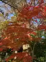 比々多神社の自然