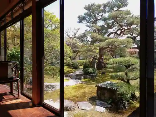 妙顯寺（妙顕寺）(京都府)