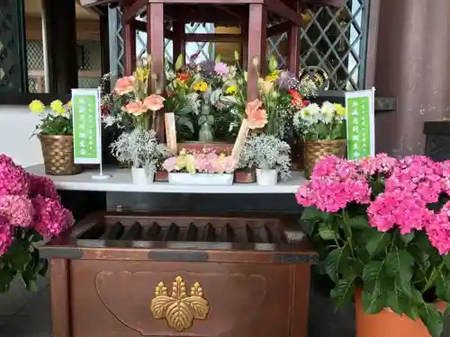 西新井大師総持寺のお祭り