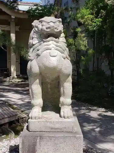 菟橋神社の狛犬