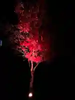 伏見稲荷大社(京都府)