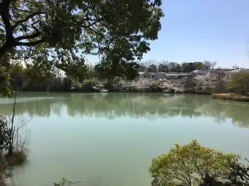 富士浅間神社の周辺