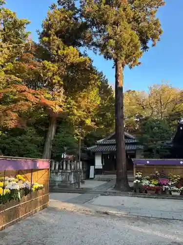 日牟禮八幡宮(滋賀県)