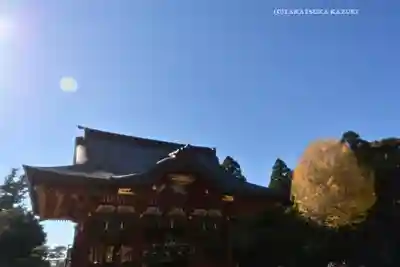 鶴岡八幡宮の神楽