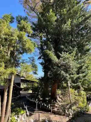 瀬戸神社(神奈川県)