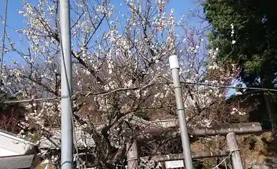 賀茂別雷神社のその他建物