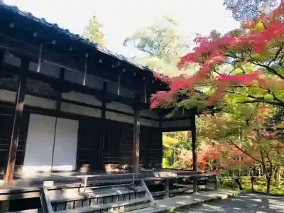 西芳寺の{uncategorized: "未分類", other: "その他", undefined: "問題あり", building: "その他建物", grave: "お墓", sacred_gate: "鳥居", guardian: "狛犬", statue: "像", buddha: "仏像", history: "歴史", nature: "自然", garden: "庭園", animal: "動物", pagoda: "塔", temizu: "手水舎", mountain_gate: "山門・神門", sanctuary: "本殿・本堂", subordinate: "末社・摂社", art: "芸術", scenery: "景色", jizo: "地蔵", ema: "絵馬", goshuin: "御朱印", omikuji: "おみくじ", items: "授与品その他", amulet: "お守り", goshuincho: "御朱印帳", eats: "食事", festival: "お祭り", votive_dance: "神楽", shichigosan: "七五三参", wedding: "結婚式", experience: "体験その他", initially: "初詣", around: "周辺", anti_infection: "感染症対策"}