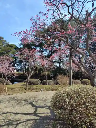 山神社(宮城県)