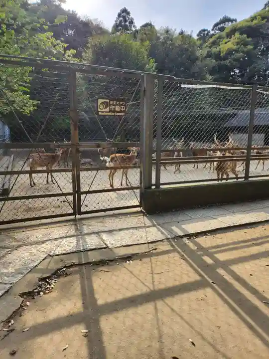 鹿島神宮(茨城県)