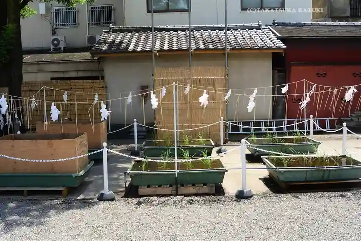 浅草神社(東京都)