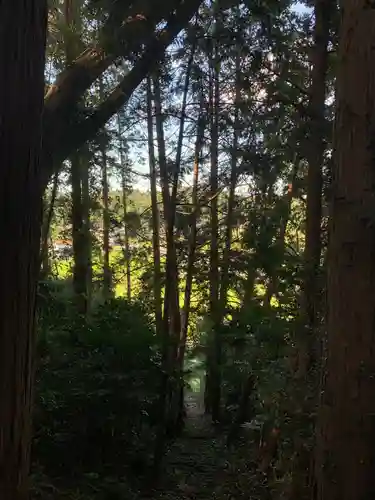 天満神社の自然