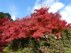 百済寺(滋賀県)