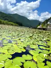 仁科神社(長野県)