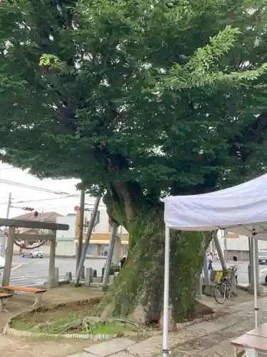 水海道諏訪神社(茨城県)
