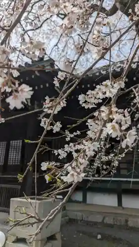 妙満寺(京都府)