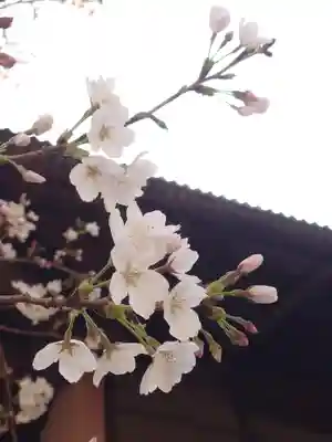 倉見観音堂(神奈川県)