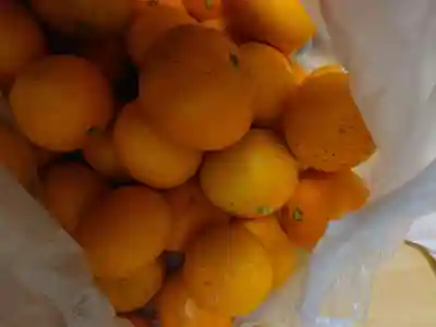 熊野本宮大社(和歌山県)