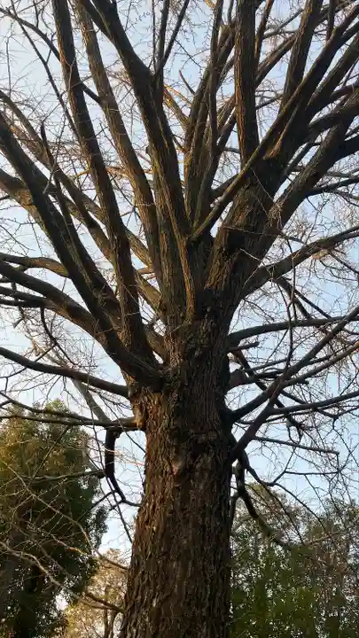 田無神社(東京都)