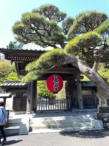 長谷寺(神奈川県)