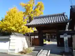 浄光寺(愛知県)